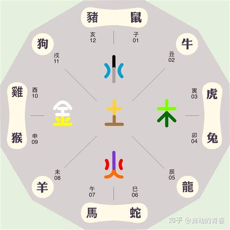 十二地支 五行